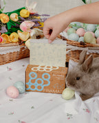 Be Hoppy - Pop Up