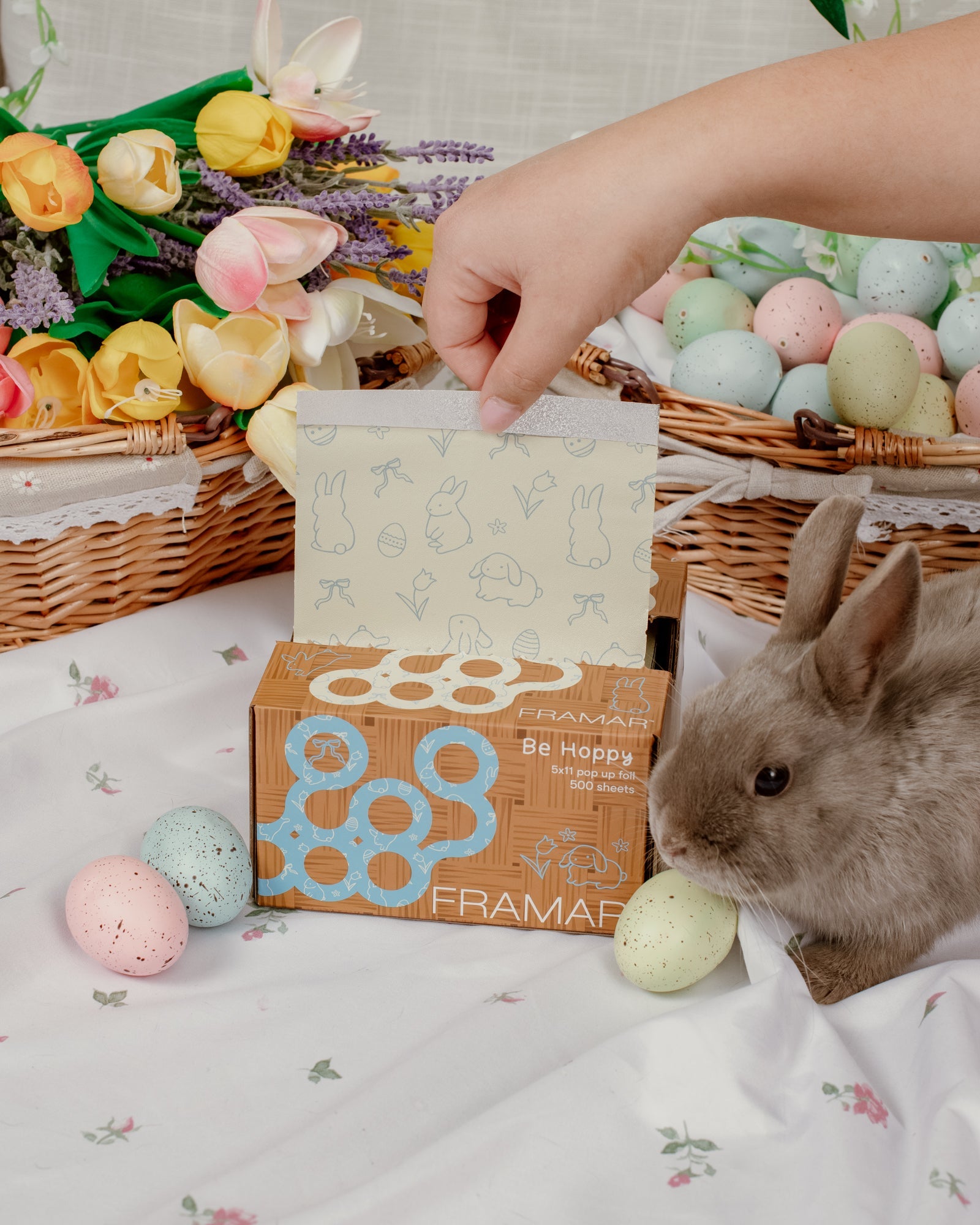Be Hoppy - Pop Up