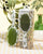 Positano - Detangle Brush