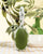 Positano - Detangle Brush