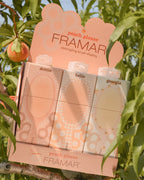 Peach Please - 9PC Detangle Brush Display