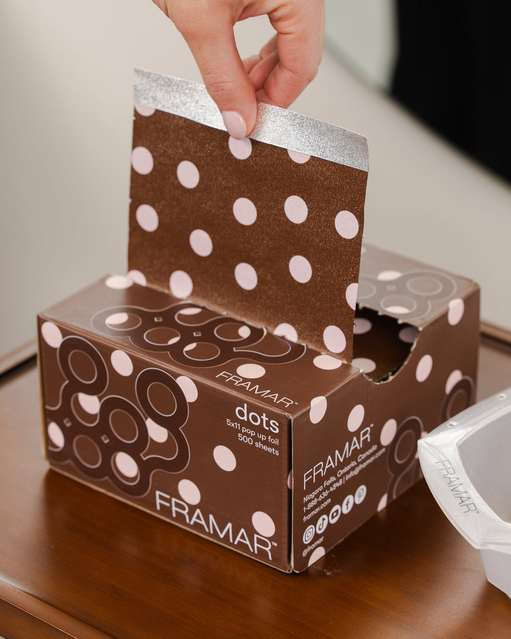 5x11 Pop Up - Chocolate Dots
