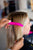 Hair clip alligator, Hair clip, clip, sectioning clips, clips for hair, hair clip curly hair, hair clip for thick hair, hair clip for women, hair clip for short hair, hair clip for long hair, sectioning alligator clips, sectioning clips hair clip, what are sectioning clips used for, sectioning clips for hair, sectioning clips for thick hair, best sectioning clips, section clips hairdressing, sectioning clips for hair